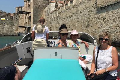 From Verona: Sirmione & Lake Garda Private Tour with lunch & winery From Verona: Sirmione & Lake Garda Private Tour with lunch & winery