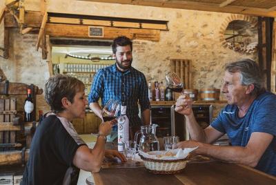 Wine Tasting in Valpolicella Classica: the cradle of Amarone Wine Tasting in Valpolicella Classica: the cradle of Amarone