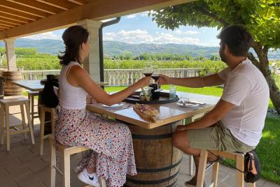 1 hour Amarone wine experience in Verona countryside 1 hour Amarone wine experience in Verona countryside