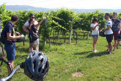 Valpolicella Bike Tour from Verona Valpolicella Bike Tour from Verona