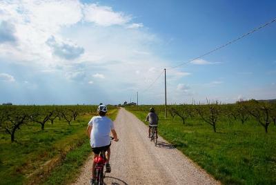 E-bike adventure among medieval castles and old villages E-bike adventure among medieval castles and old villages