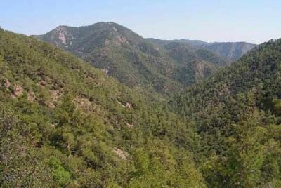 Troodos and Kykkos Day Tour from Paphos Troodos and Kykkos Day Tour from Paphos