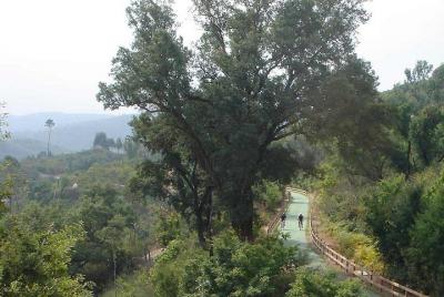 Get off the "Ecopista do Dão" by bike 47km + Transfer Santa Comba Get off the