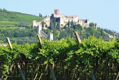 Soave Borgo wine tour with Aperitivo Soave Borgo wine tour with Aperitivo