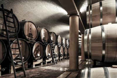 Verona area: Wine Tasting Experience in Valpolicella Verona area: Wine Tasting Experience in Valpolicella
