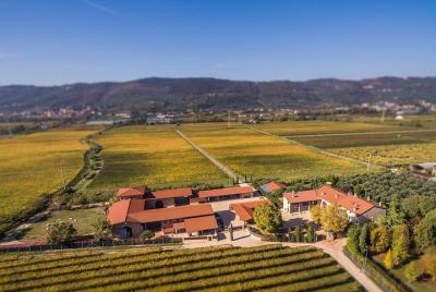 Happy wine day experience at Capurso wine close to Verona Happy wine day experience at Capurso wine close to Verona