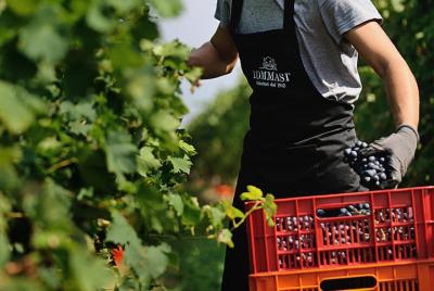 Amarone wine tasting in Verona at Cantine Tommasi Amarone wine tasting in Verona at Cantine Tommasi