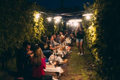 Picnic among the Vines in Valpolicella, Soave, Lake Garda Picnic among the Vines in Valpolicella, Soave, Lake Garda
