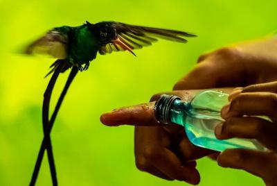 Rockland Brid Sanctuary Private Tour Rockland Brid Sanctuary Private Tour