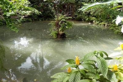 "Ocho Rios Nature Lovers Tour"
