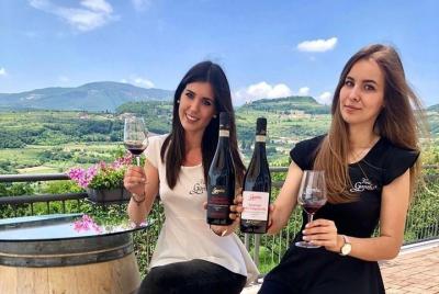 Amarone Wine Tasting in Valpolicella | 3 Wines + Snacks Amarone Wine Tasting in Valpolicella | 3 Wines + Snacks