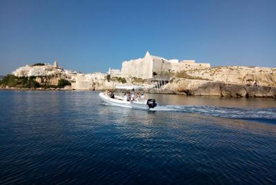 Desirèe: Private boat tour with skipper