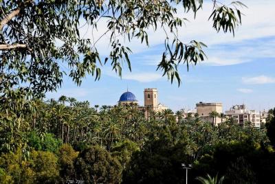 Experience the World Heritage City of Elche private tour Experience the World Heritage City of Elche private tour