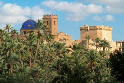 Alicante Full Day Experience Including Visit to Elche with Transfers Alicante Full Day Experience Including Visit to Elche with Transfers