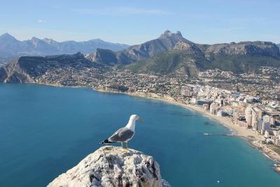 Alicante Like a Local: Customized Private Tour Alicante Like a Local: Customized Private Tour