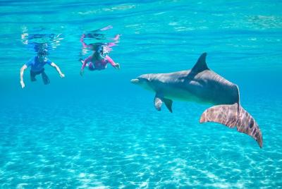 Dolphin House VIP Snorkeling Sea Trip With water Sports -Hurghada