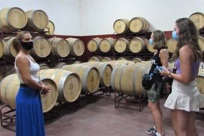 Portimão & Lagoa: Algarve Wine Tour in a VW T2 Van