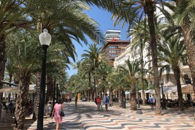 Private Airport Transfer: from Alicante-Elche Airport (ALC) to Alicante Private Airport Transfer: from Alicante-Elche Airport (ALC) to Alicante