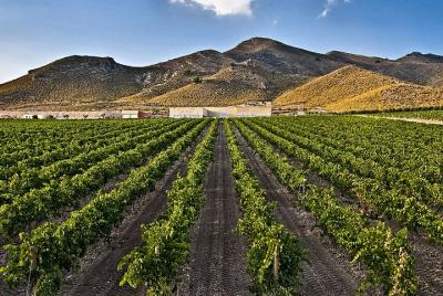Cultural getaway and wine tourism 3 days in Murcia Cultural getaway and wine tourism 3 days in Murcia