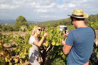 Wine tasting & E-bike Barcelona's coastline Small Group tour