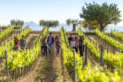 El Penedès Hike & Wine. Premium Small Group Tour from Barcelona