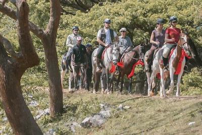 Horse riding tour (7 Days)