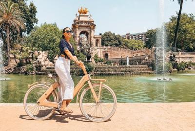 Wooden bike tour Highlights of the city