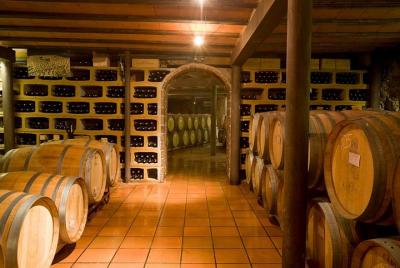 Catalonia Wine Tour