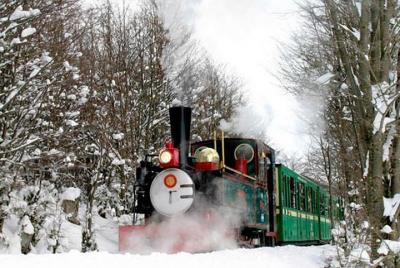 Tierra del Fuego National Park Half-Day Tour with Optional End of