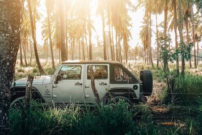 Private Jeep Experience - YS Falls & Pelican Bar (all-inclusive)