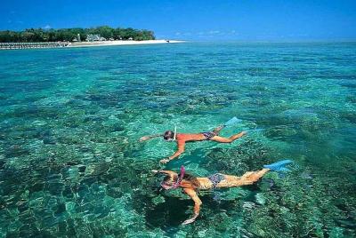 Cham Islands Full-Day Tour: Speed Boat, Lunch, Snorkeling and Beach Cham Islands Full-Day Tour: Speed Boat, Lunch, Snorkeling and Beach