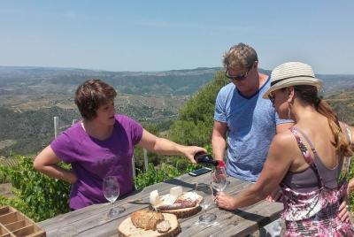 WINE TOUR PRIORAT: Visit 2 Top Wineries, Wine Tasting & Gourmet Lunch