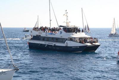 Sightseeing 60-minute Cruise of Barcelona Skyline