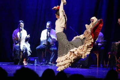 Flamenco Show Ticket at Theatre Barcelona City Hall