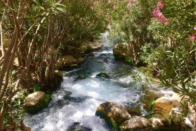 Day Trip to Algar Waterfalls and Guadalest from Calpe or Altea Day Trip to Algar Waterfalls and Guadalest from Calpe or Altea