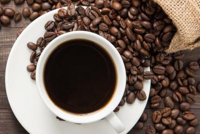 Kilimanjaro Organic Coffee Tasting Experience