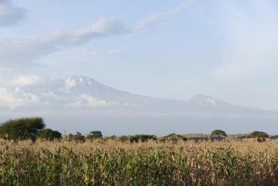 Moshi town tour Moshi town tour