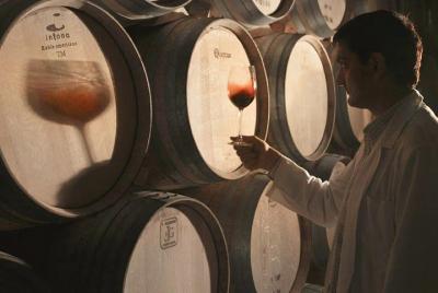 Rioja: Guided Visits to Vineyards and Bodegas
