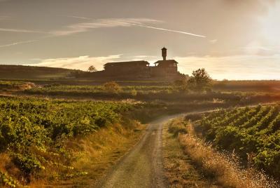La Rioja two wineries visit with wine tasting and pintxos in small group tour La Rioja two wineries visit with wine tasting and pintxos in small group tour