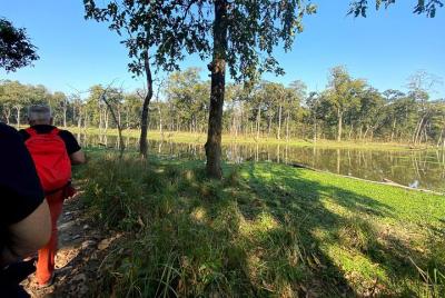 2 Hours Nature Walk in Chitwan National Park 2 Hours Nature Walk in Chitwan National Park
