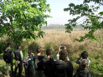 Day Trip in Chitwan (canoe 2 hrs.+ whole day jungle walk), 1 Day Package Day Trip in Chitwan (canoe 2 hrs.+ whole day jungle walk), 1 Day Package