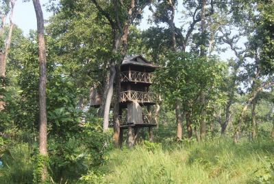 Jungle Towernight Stay In Chitwan National Park ,nepal-2 Nights 3 Days Package Jungle Towernight Stay In Chitwan National Park ,nepal-2 Nights 3 Days Package