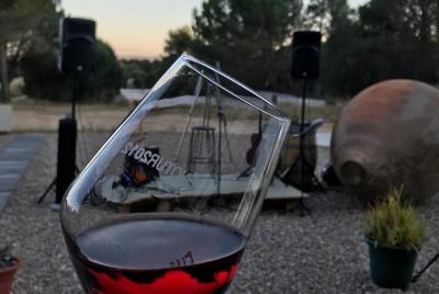 Visit and Wine Tasting at the Territorio Luthier Winery Visit and Wine Tasting at the Territorio Luthier Winery