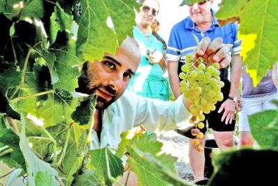 Full Day Private Sherry Wine Experience from Cádiz Full Day Private Sherry Wine Experience from Cádiz