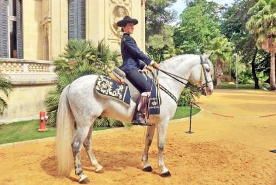 From Cadiz: Jerez Private Day Trip with Horse Show & Sherry Winery From Cadiz: Jerez Private Day Trip with Horse Show & Sherry Winery