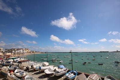 Cadiz Shore Excursion: Jerez & Cadiz Easy Accessible private tour & wine cellars Cadiz Shore Excursion: Jerez & Cadiz Easy Accessible private tour & wine cellars