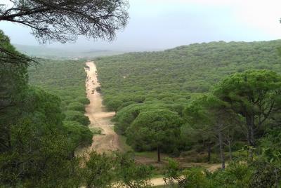Hiking Costa de la luz Zahora Barbate 