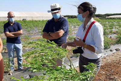 Healthy Eco-Finca and Pine Forest Experience