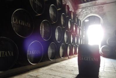 Ultimate Sherry Tour From Vejer de la Frontera in English