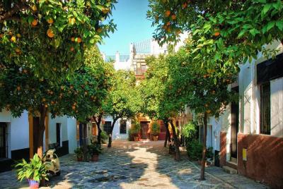 Private Day Trip to Seville from Cadiz 